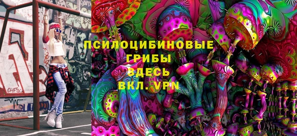 спиды Алексеевка