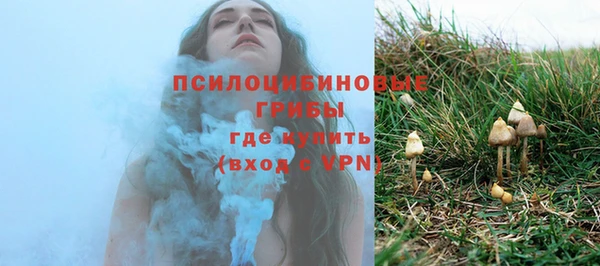 спиды Алексеевка