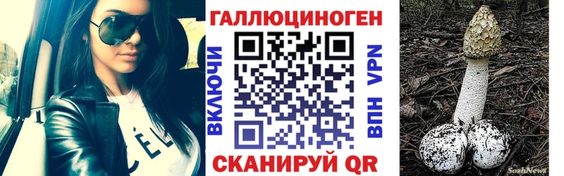Псилоцибиновые грибы прущие грибы  ссылка на мегу ТОР  Заводоуковск  купить  